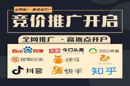 百度平台推广：成功案例解析与效果分析